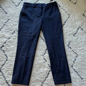 Express dress pants